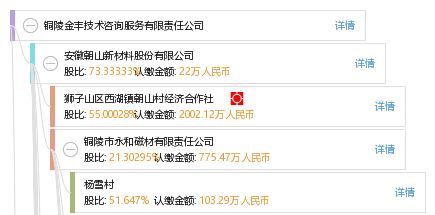 銅陵金豐技術咨詢服務有限責任公司 專業(yè)引領，技術賦能未來